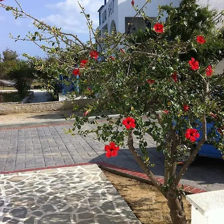 Vagos 2 Άγιος Προκόπιος